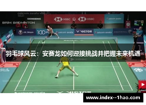 羽毛球风云：安赛龙如何迎接挑战并把握未来机遇