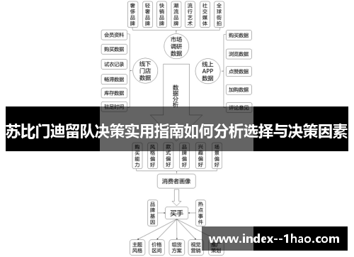 苏比门迪留队决策实用指南如何分析选择与决策因素
