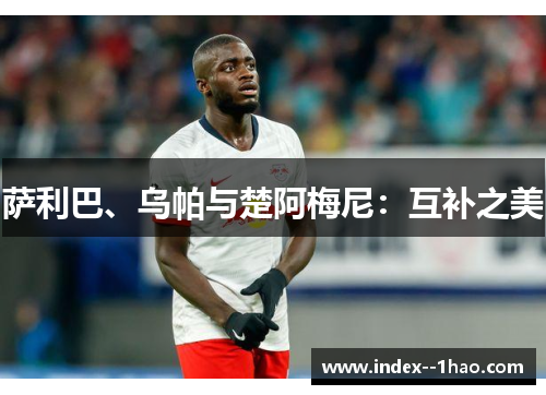 萨利巴、乌帕与楚阿梅尼：互补之美