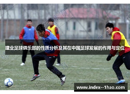 建业足球俱乐部的性质分析及其在中国足球发展的作用与定位