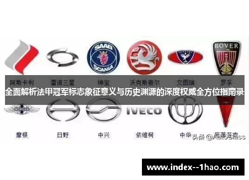 全面解析法甲冠军标志象征意义与历史渊源的深度权威全方位指南录