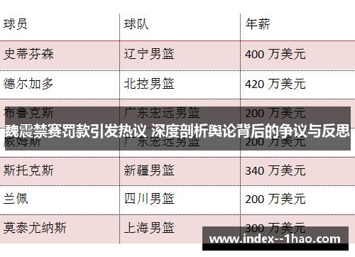 魏震禁赛罚款引发热议 深度剖析舆论背后的争议与反思