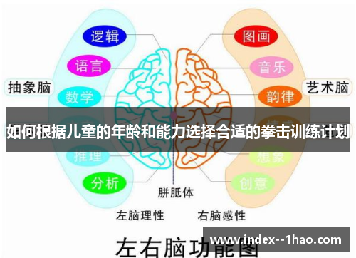 如何根据儿童的年龄和能力选择合适的拳击训练计划