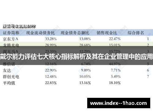 戴尔能力评估七大核心指标解析及其在企业管理中的应用