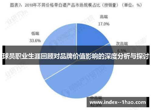 球员职业生涯回顾对品牌价值影响的深度分析与探讨