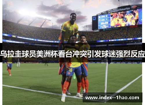 乌拉圭球员美洲杯看台冲突引发球迷强烈反应